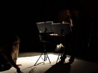 Champ d'Action, de Singel 2011