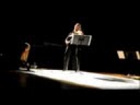 Champ d'Action, de Singel 2011-avi