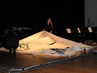 Champ d'Action, de Singel 2011