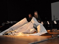 Champ d'Action, de Singel 2011