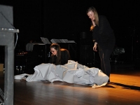 Champ d'Action, de Singel 2011