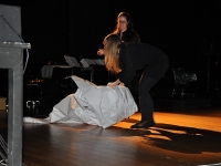 Champ d'Action, de Singel 2011
