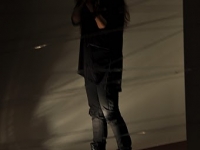 Champ d'Action, de Singel 2011