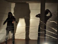 Champ d'Action, de Singel 2011